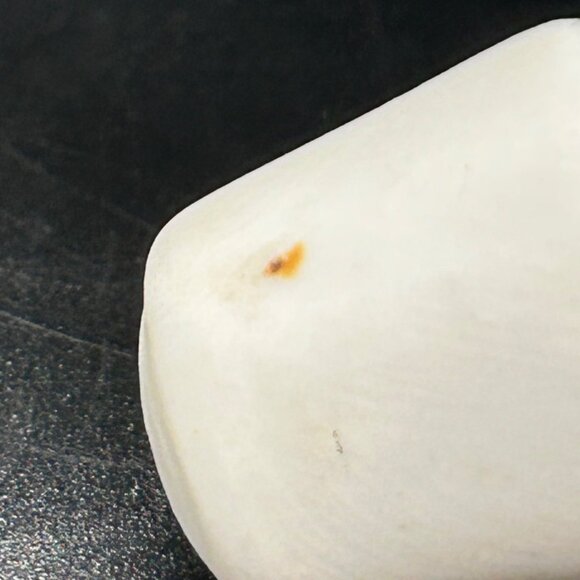 Vintage Hand-Painted Perfume Bottle Japanese Handpainted Floral & Gold Accents - Picture 5 of 16